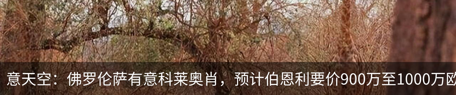 内页banner
