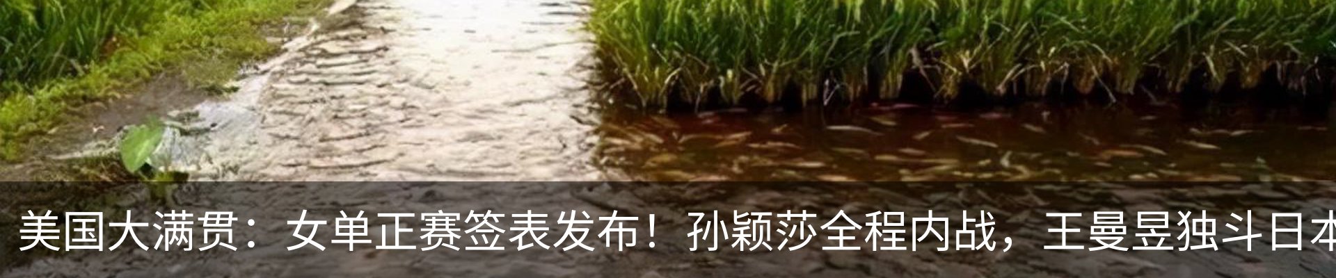 内页banner